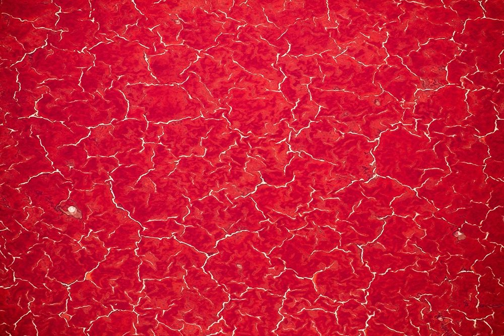 Africa-Tanzania-Aerial view of patterns of red algae and salt formations in shallow salt waters art print by Paul Souders for $57.95 CAD